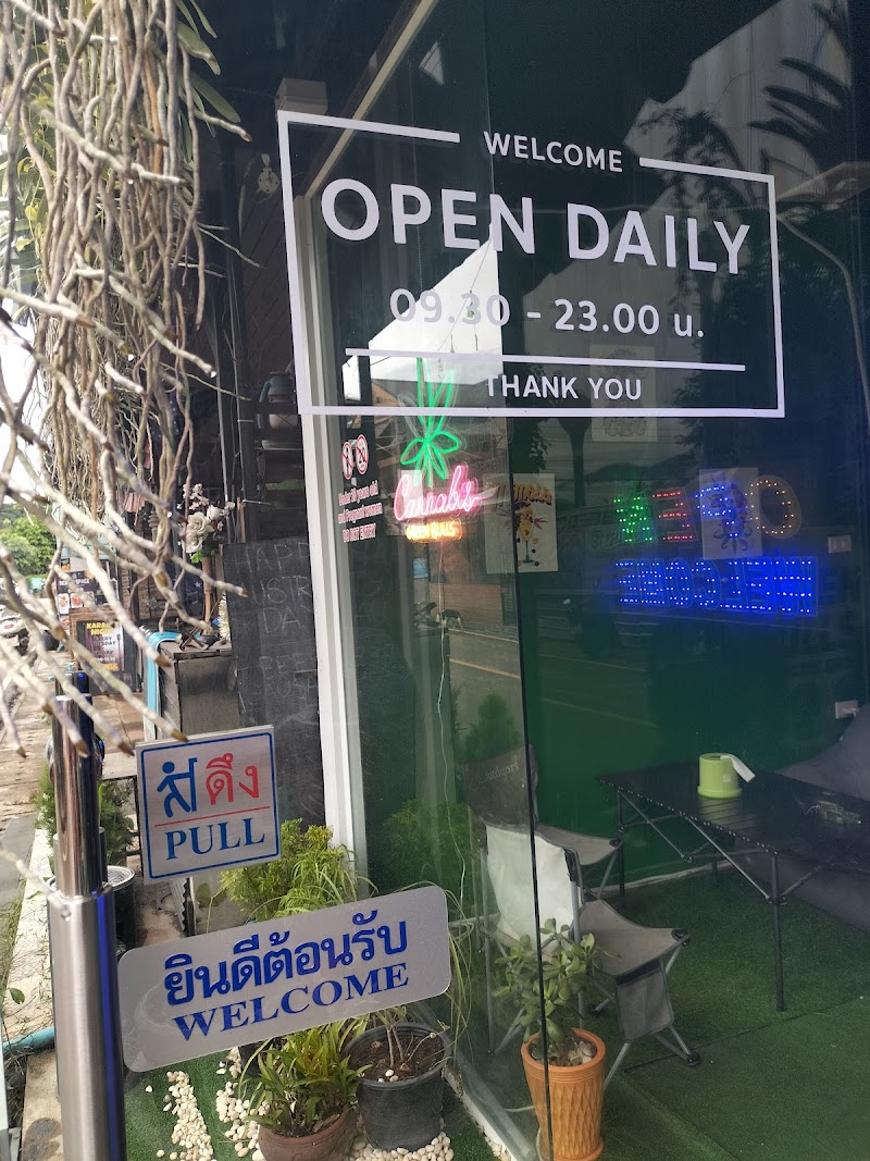Green Bulls Cannabis Shop Green Bulls Cannabis Shop