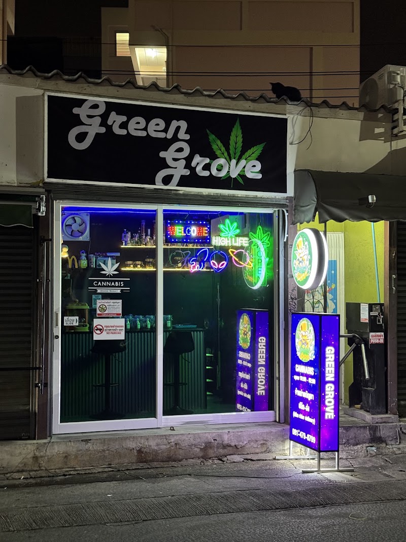 GREEN GROVE