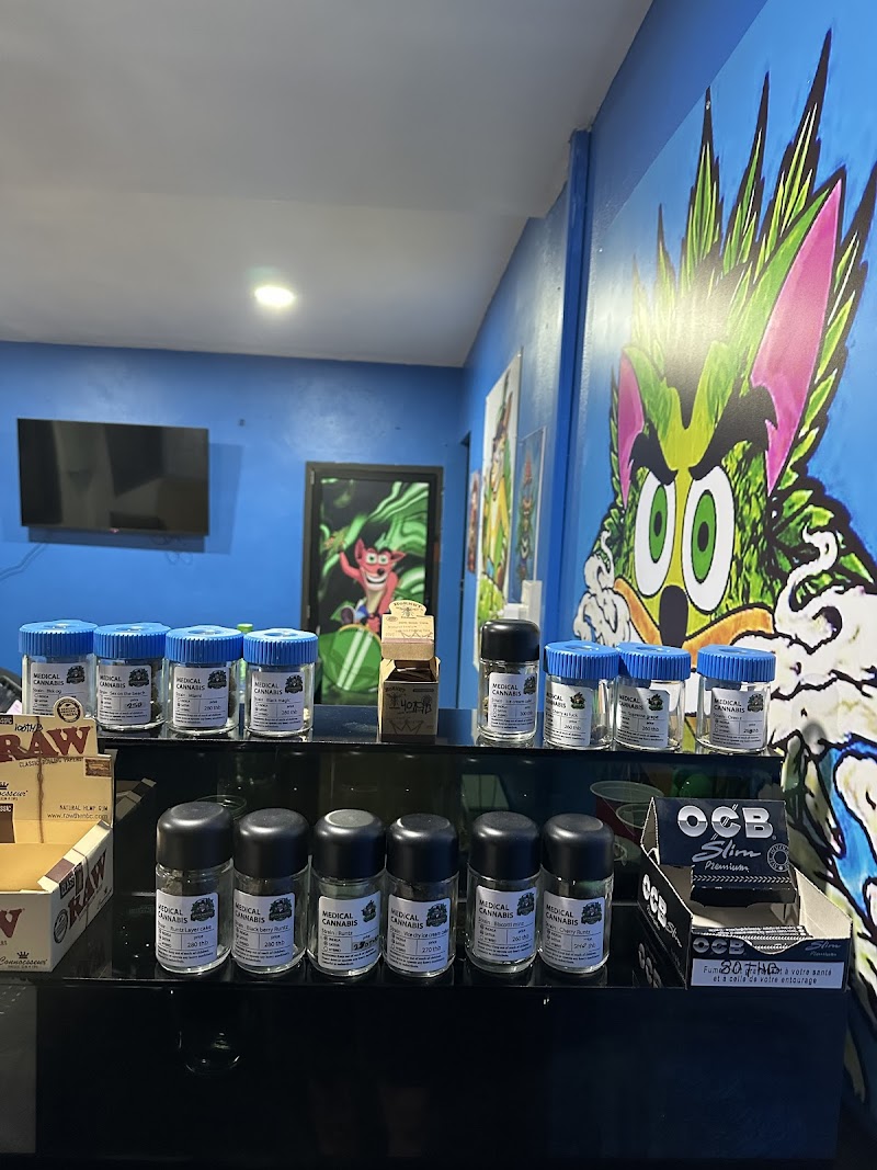 Greenbandicoot weed