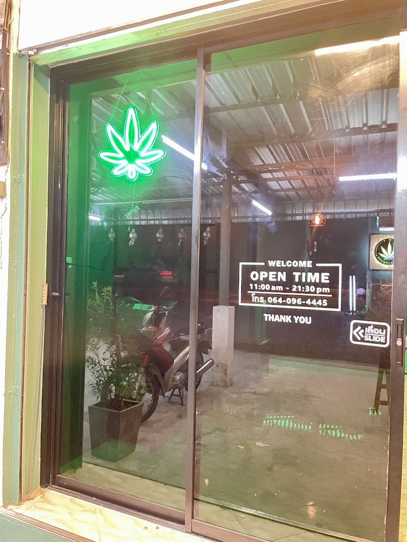 Growclub420 ร้านกัญชา (Cannabis shop) Growclub420 ร้านกัญชา (Cannabis shop)