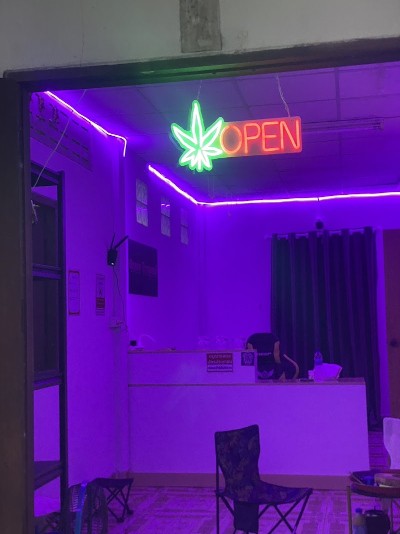 Grower Thungsead Marijuana (โกรเวอร์ทุ่งเซียด) Grower Thungsead Marijuana (โกรเวอร์ทุ่งเซียด)