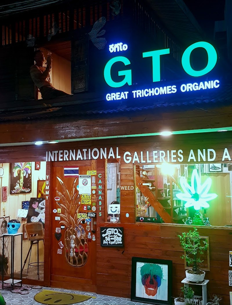 GTO cannabis and galleries GTO cannabis and galleries