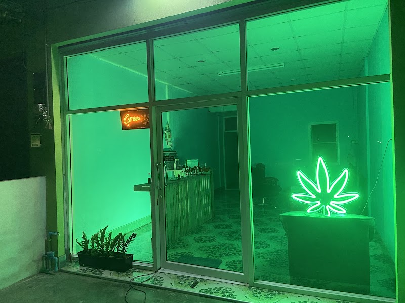 ร้านกัญชา Gusto Cannabis Shop