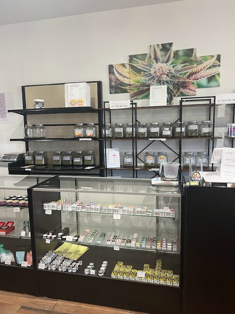 HAQS1000 Dispensary