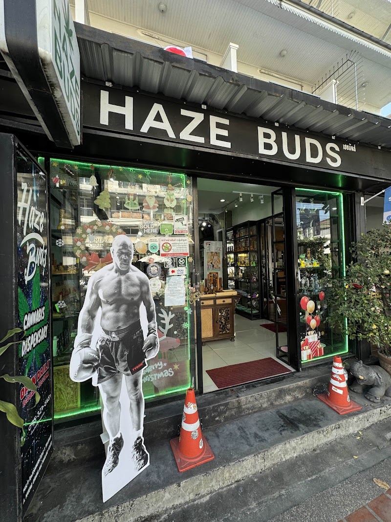 Haze Buds Cannabis Dispensary - Sunday Walking Street Weed Store Haze Buds Cannabis Dispensary - Sunday Walking Street Weed Store