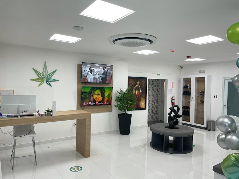 Healing Zone