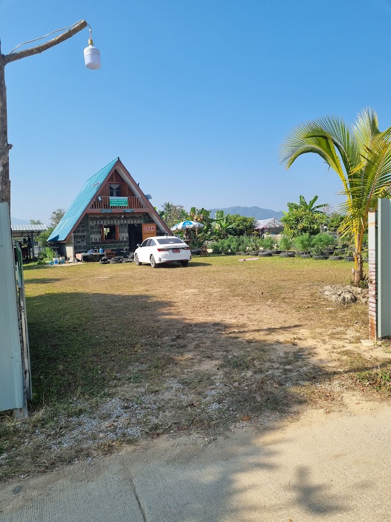 HERBAL Garden Home: Cannabis and Kratom