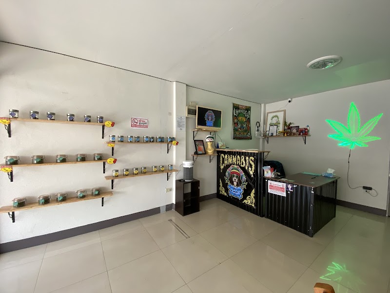 HerbHub420 @ หนองปรือ HerbHub420 @ หนองปรือ