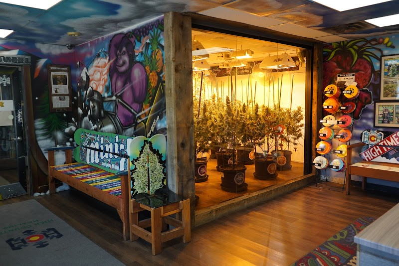 High Country Healing Silverthorne Dispensary