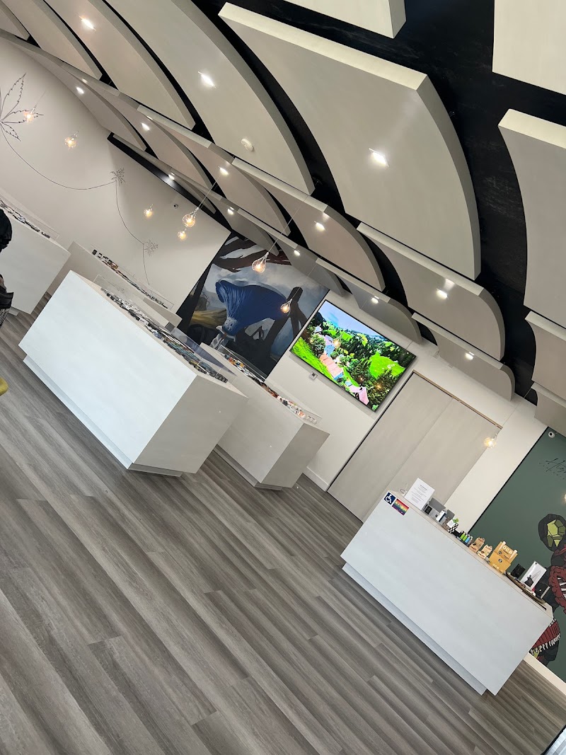High Rollers Cannabis Co