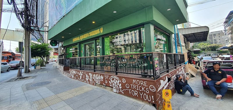 Highcraft Thailand Dispensary