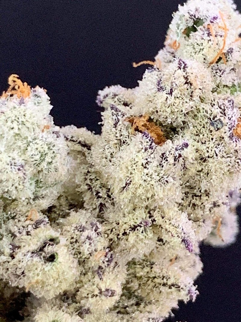 HighHello420Farm
