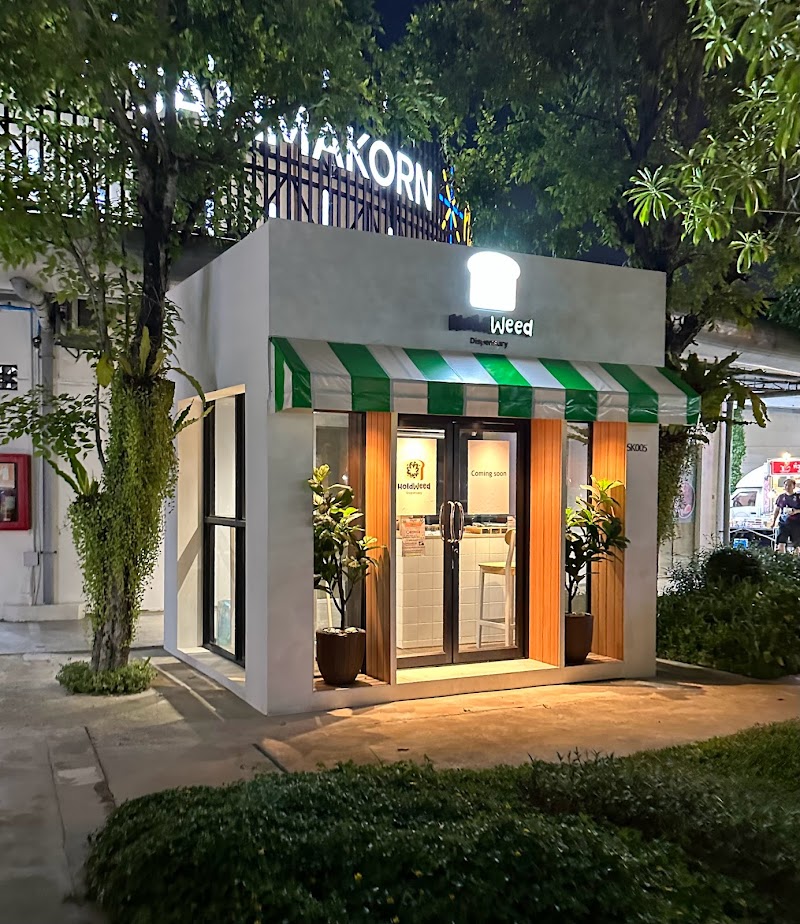 Hold Weed (ร้านกัญชา cannabis shop weed shop 大麻 Cannabisladen マリファナショップ)