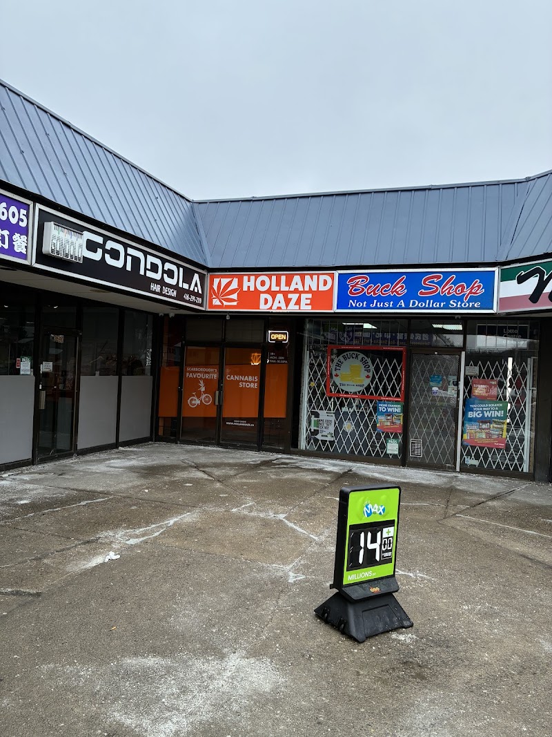 Holland Daze Cannabis | Birchmount