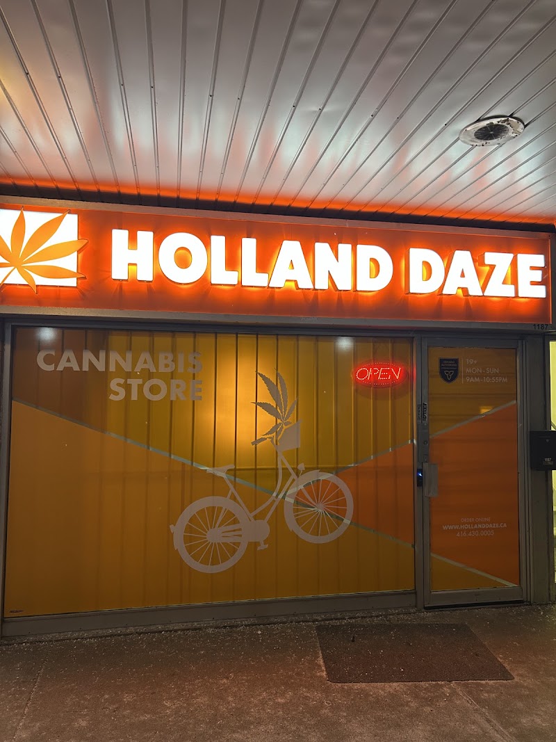 Holland Daze Cannabis | Brimley Holland Daze Cannabis | Brimley