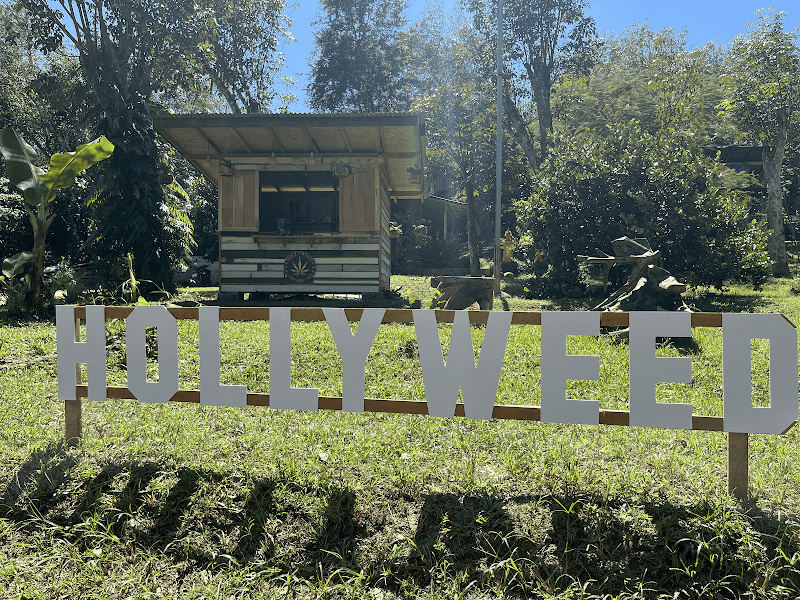 HollyWeed Cannabis Cafe