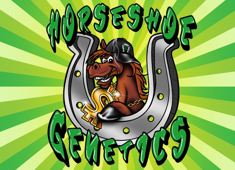 Horseshoegenetics Horseshoegenetics