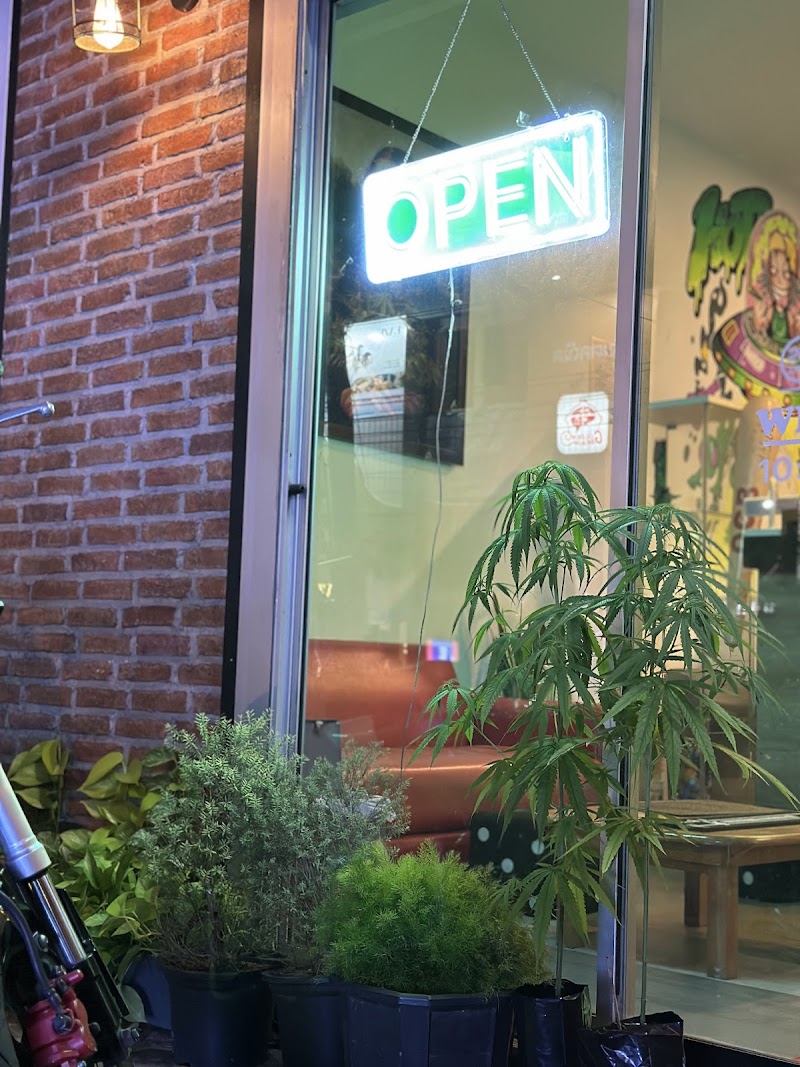 Hotbox Phuket (Cannabis Dispensary)