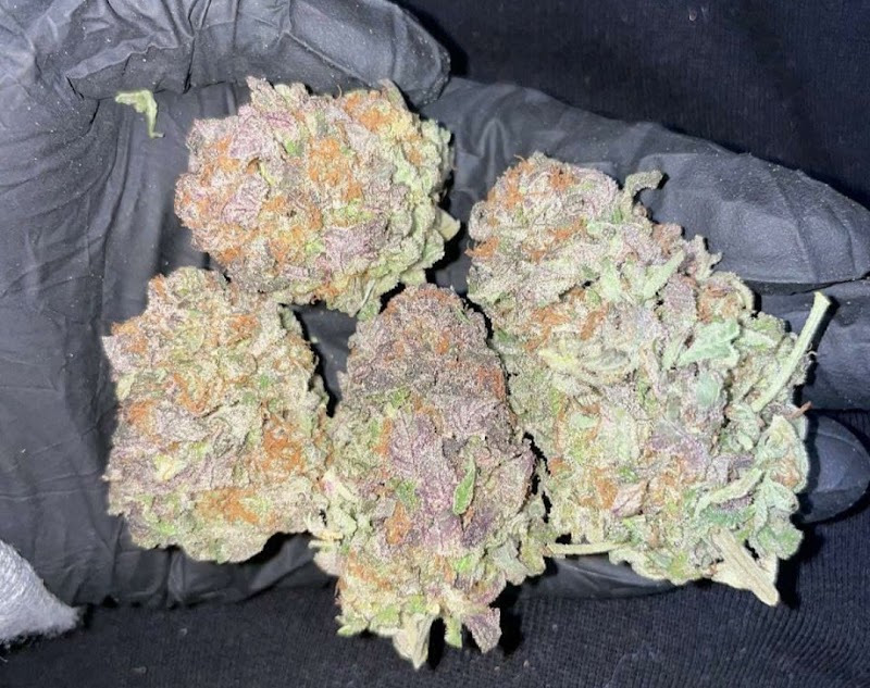 Canna Clinic Ganja Centre