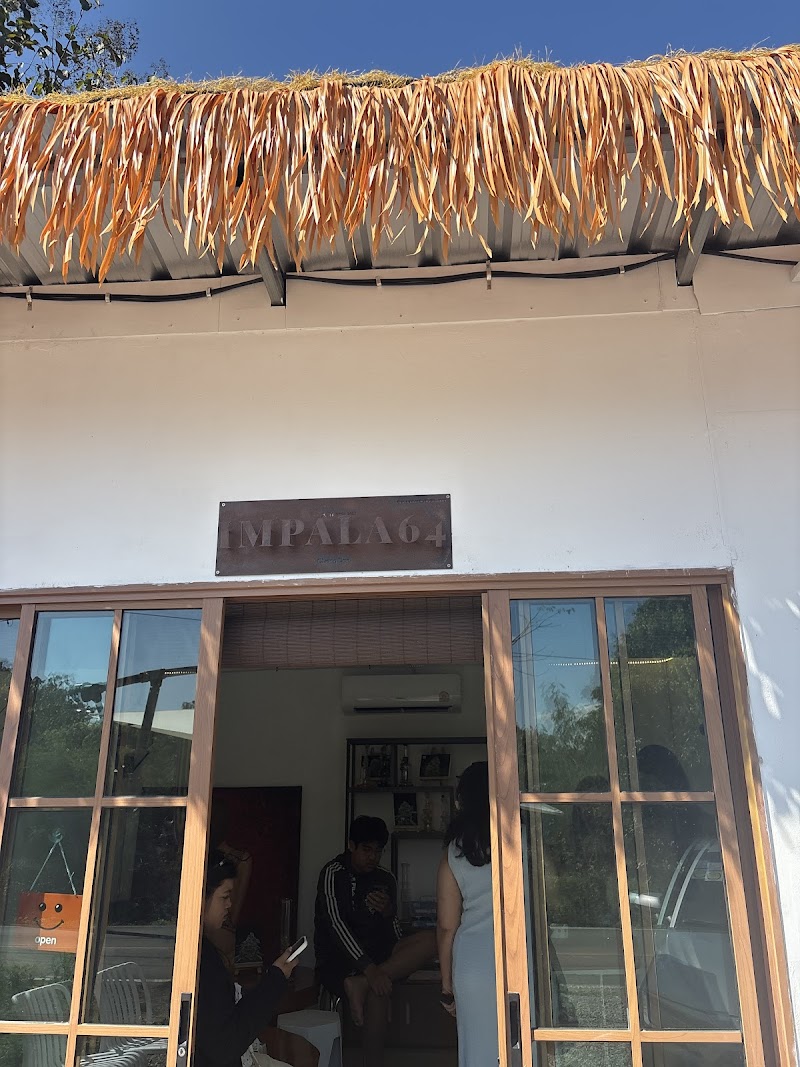 Impala64 Chiang Dao Cannabis Dispensary Shop