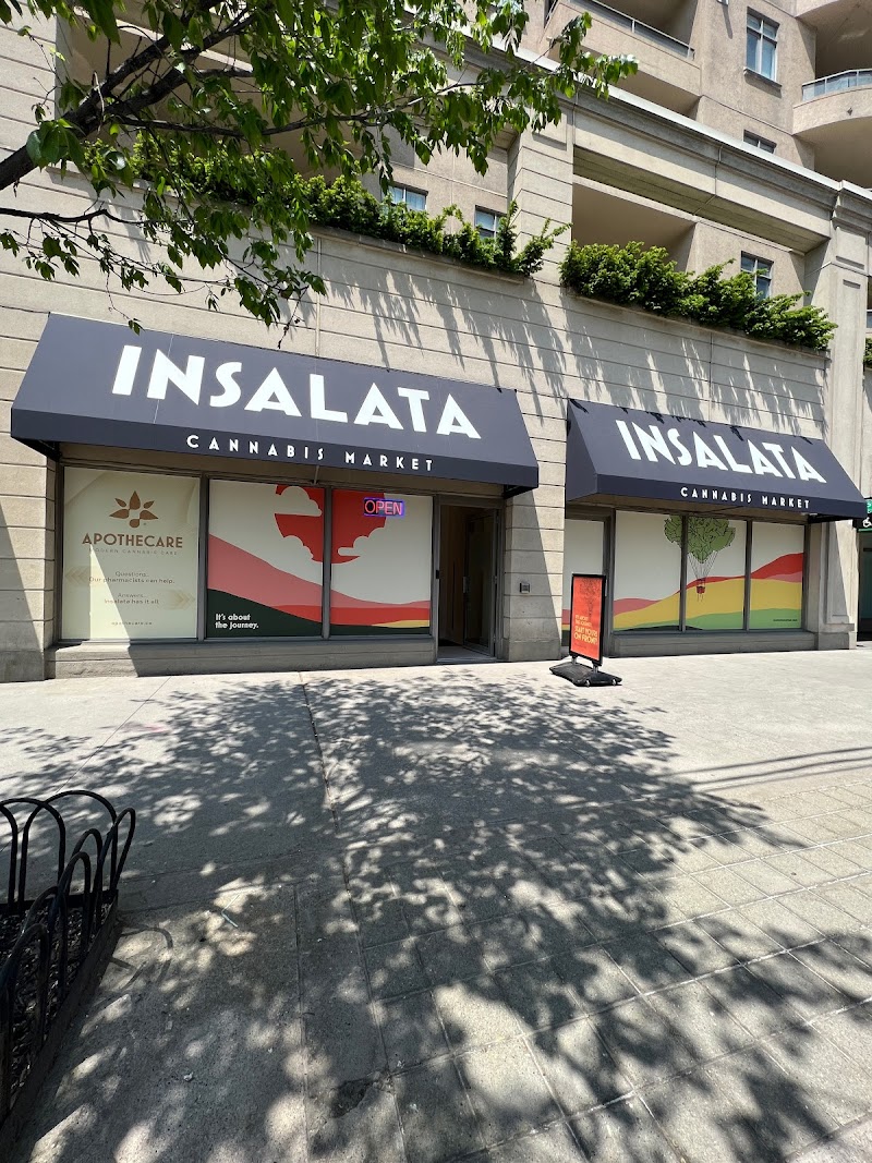 Insalata Cannabis Market