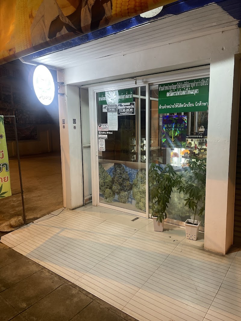ร้านกัญชา JoyBoy Chiang Rai