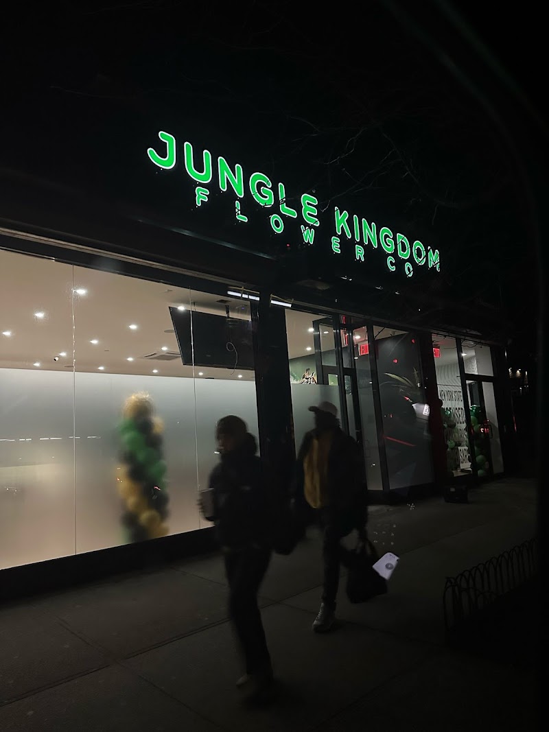 Jungle Kingdom Flower Dispensary Jungle Kingdom Flower Dispensary
