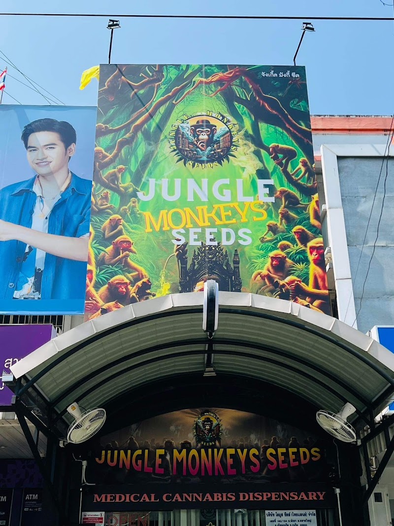 Jungle Monkeys Seeds & Weed - Medical Cannabis - Restaurant