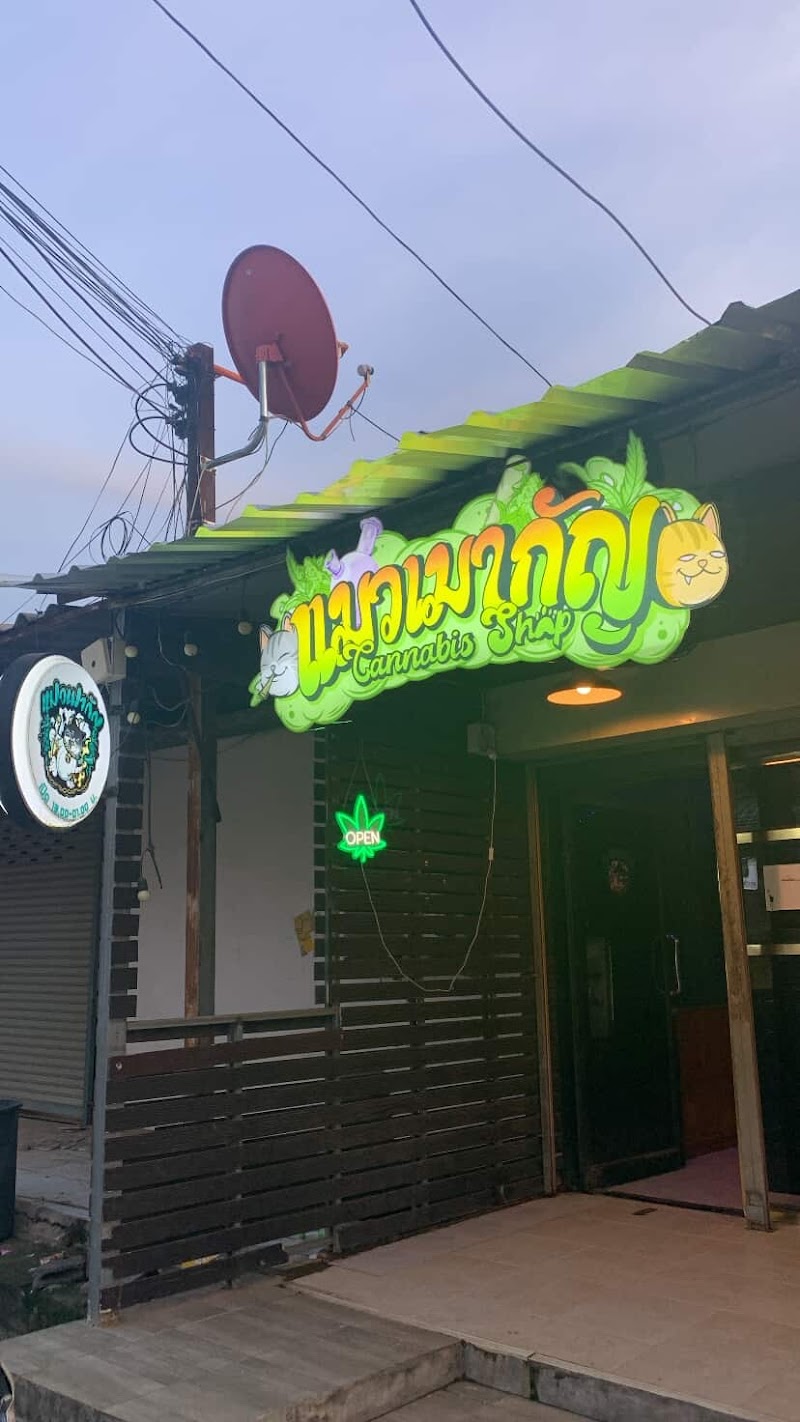 แมวเมากัญ KKC (สาขาหลังมอ ตรงข้าม #) cannabis shop แมวเมากัญ KKC (สาขาหลังมอ ตรงข้าม #) cannabis shop