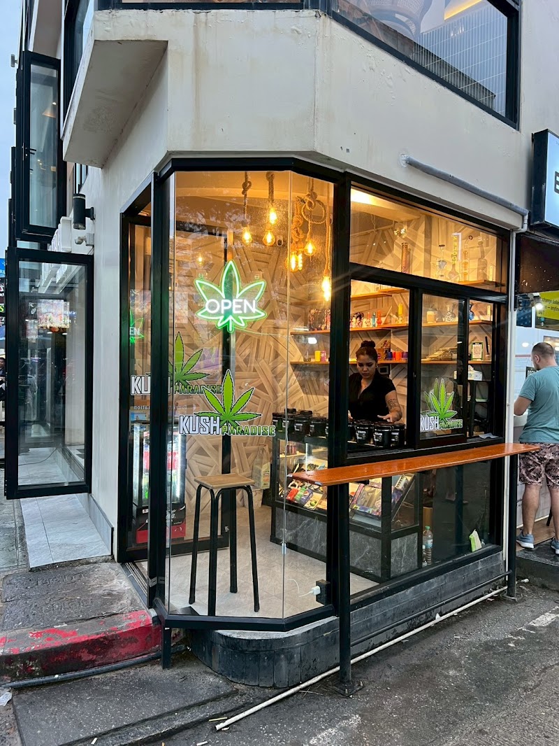 Kush Paradise Snus Weed @Patong Cafe&Bar Kush Paradise Snus Weed @Patong Cafe&Bar