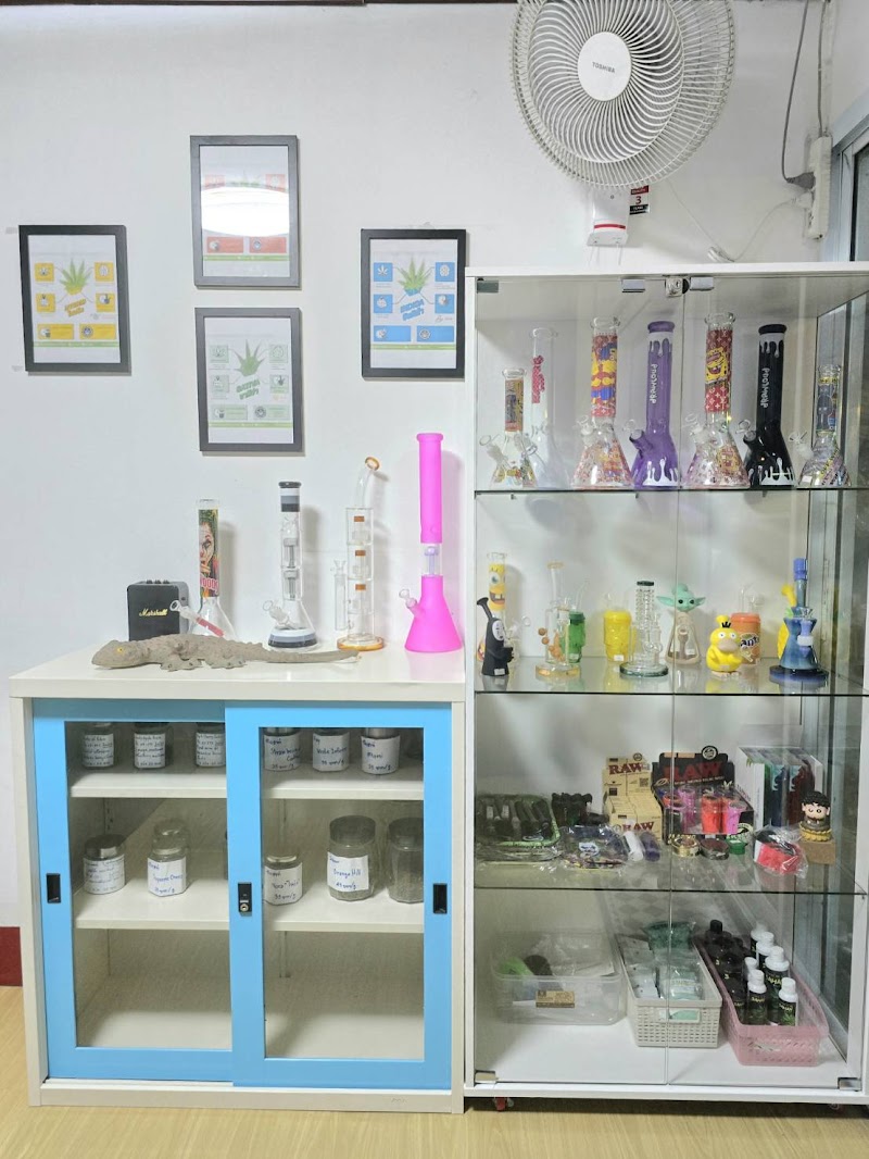 KW CANNABIS โกดังกัญชา KW CANNABIS โกดังกัญชา