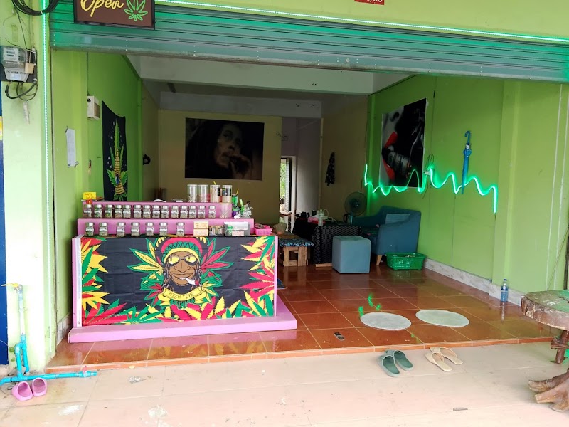Lady Weed Shop Lady Weed Shop