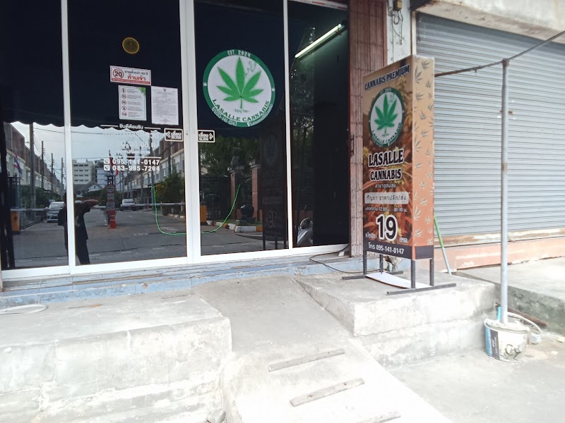 ร้านกัญชาใกล้ฉัน Lasalle Cannabis Weed Store สาขาอุดมสุข