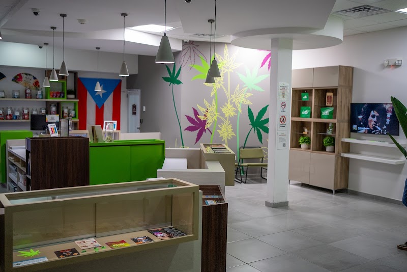 Leafwell Mayaguez Leafwell Mayaguez