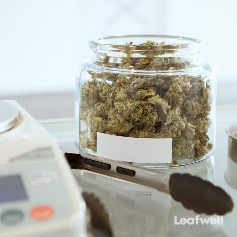 Leafwell - Medical Marijuana Card - Forked River