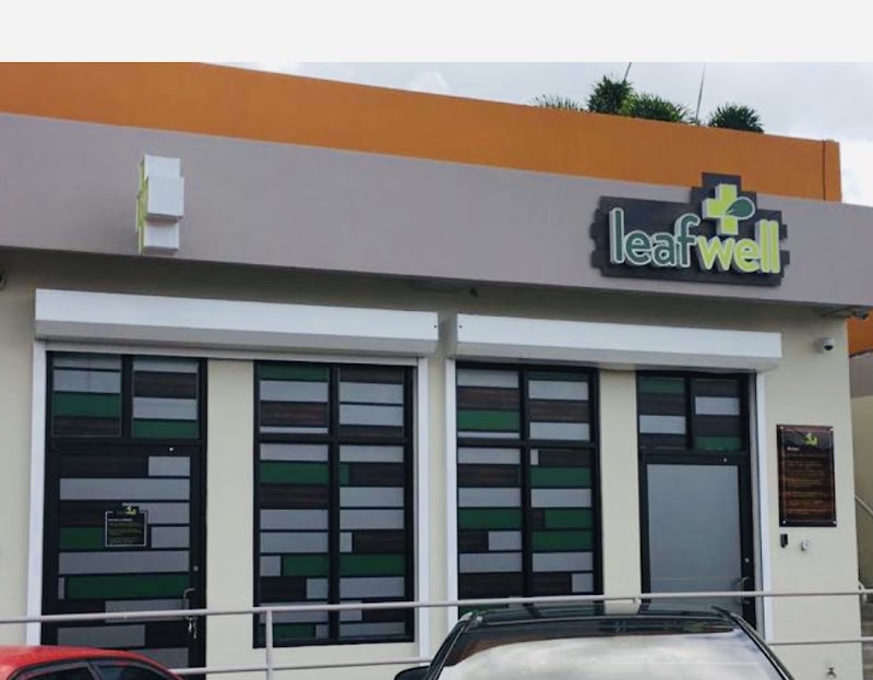 Leafwell San Sebastian