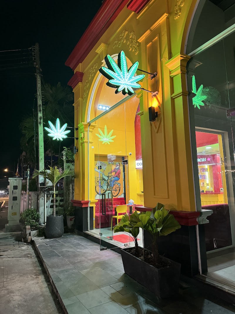 LION ROLLING CIRCUS - Dispensary, Old Town