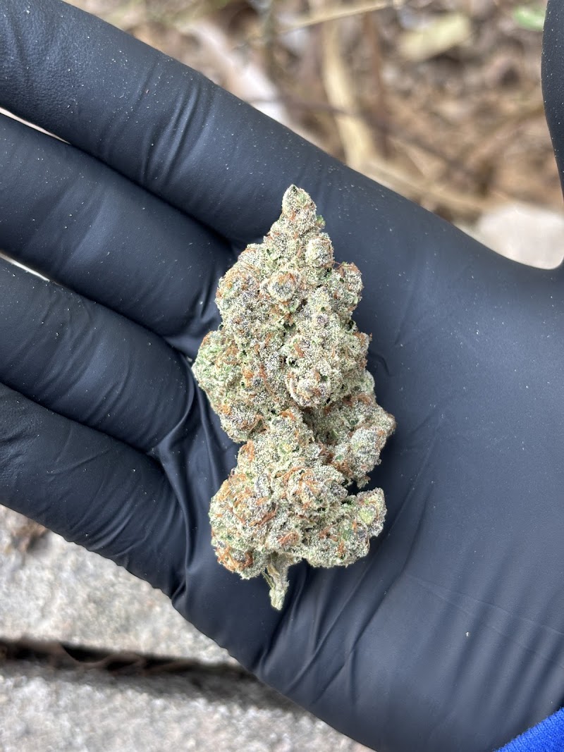 Mac Farm Cannabis shop Mac Farm Cannabis shop