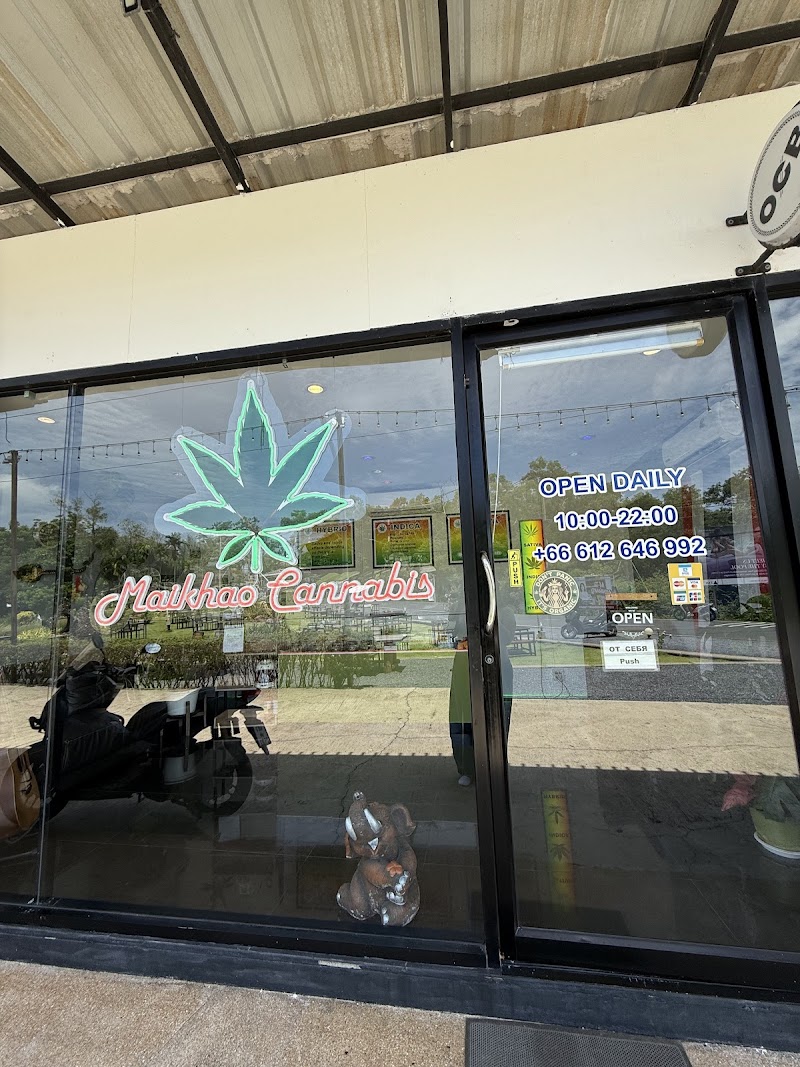 Maikhao Cannabis (weed store at Maikhao plaza)