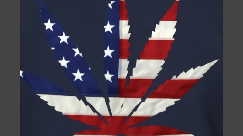 Marijuana Certifications Marijuana Certifications