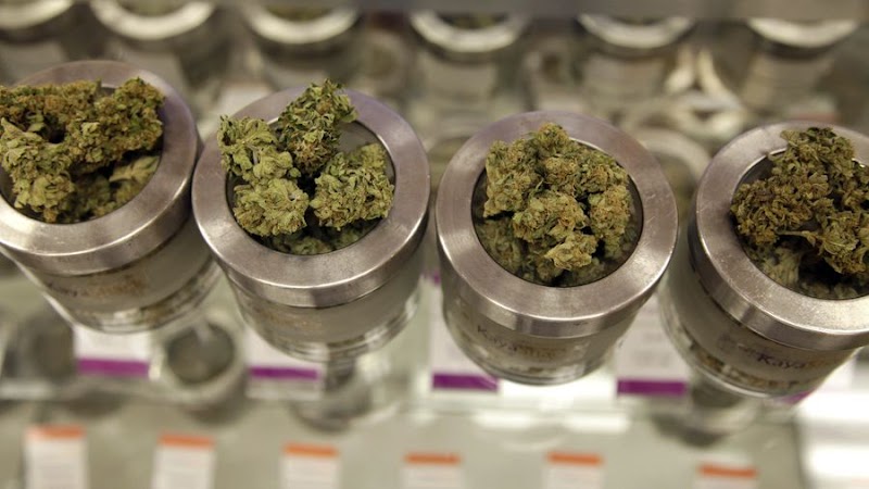 marijuana chronic center marijuana chronic center