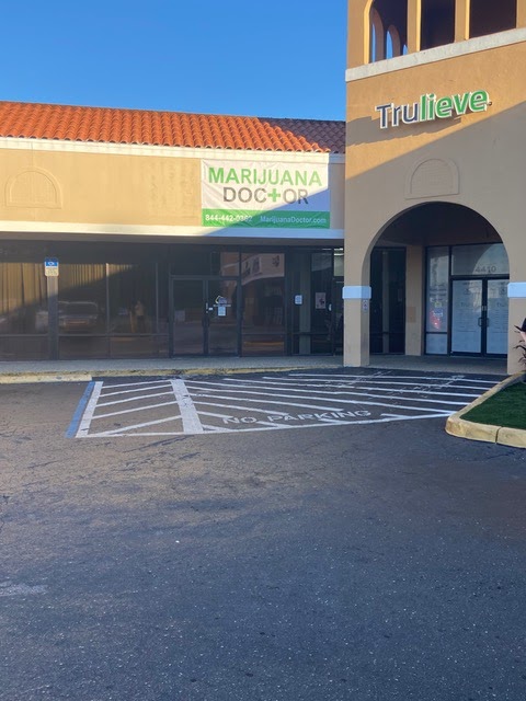 Marijuana Doctor North Tampa