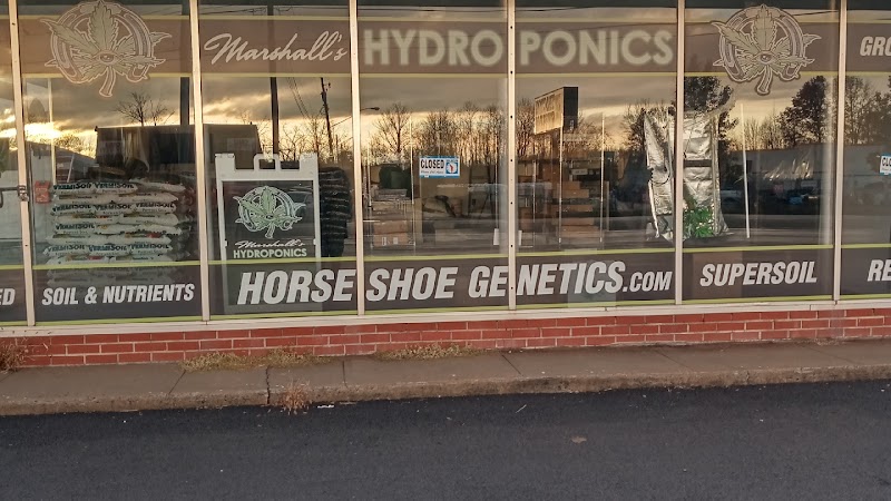 MarshallsHydroponics MarshallsHydroponics