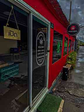 MarsHerb มาร์เฮิร์บ ( CANNABIS )