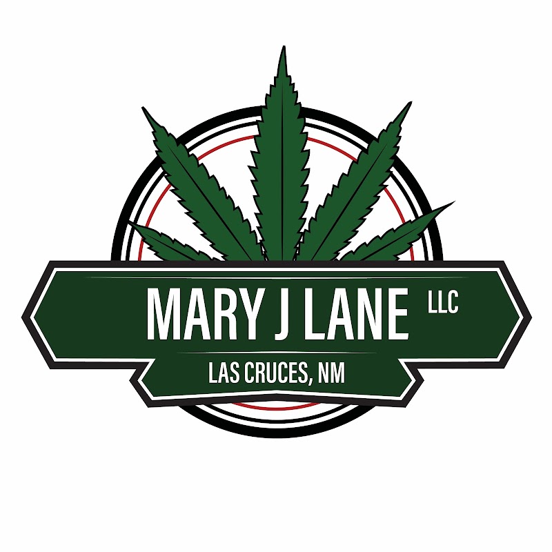 Mary J Lane Mary J Lane