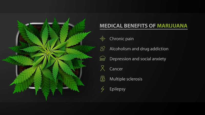 MCC Marijuana Doctor MCC Marijuana Doctor