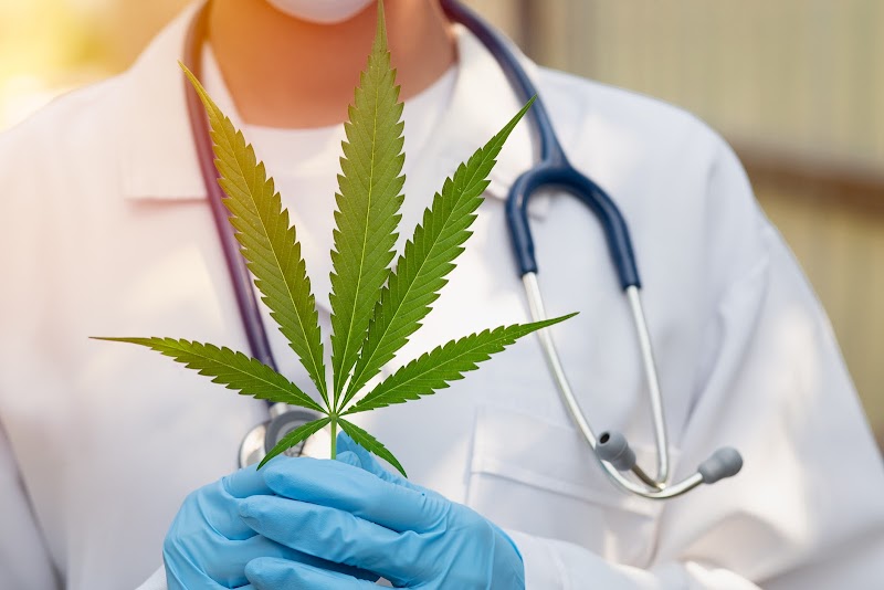 Medical Marijuana Doctor -$69 Referrals Medical Marijuana Doctor -$69 Referrals