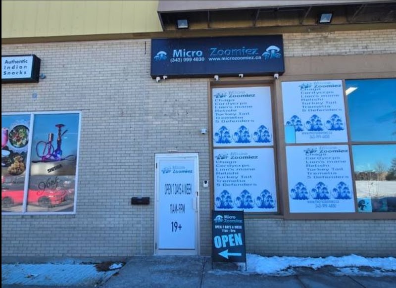 MicroZoomiez Toronto Magic Mushroom Dispensary 🍄