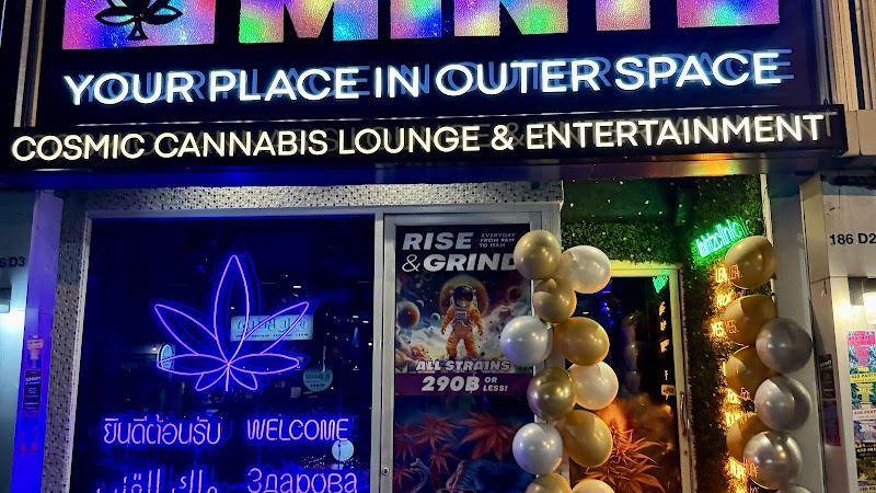 Mintz - Best weed Phuket Mintz - Best weed Phuket