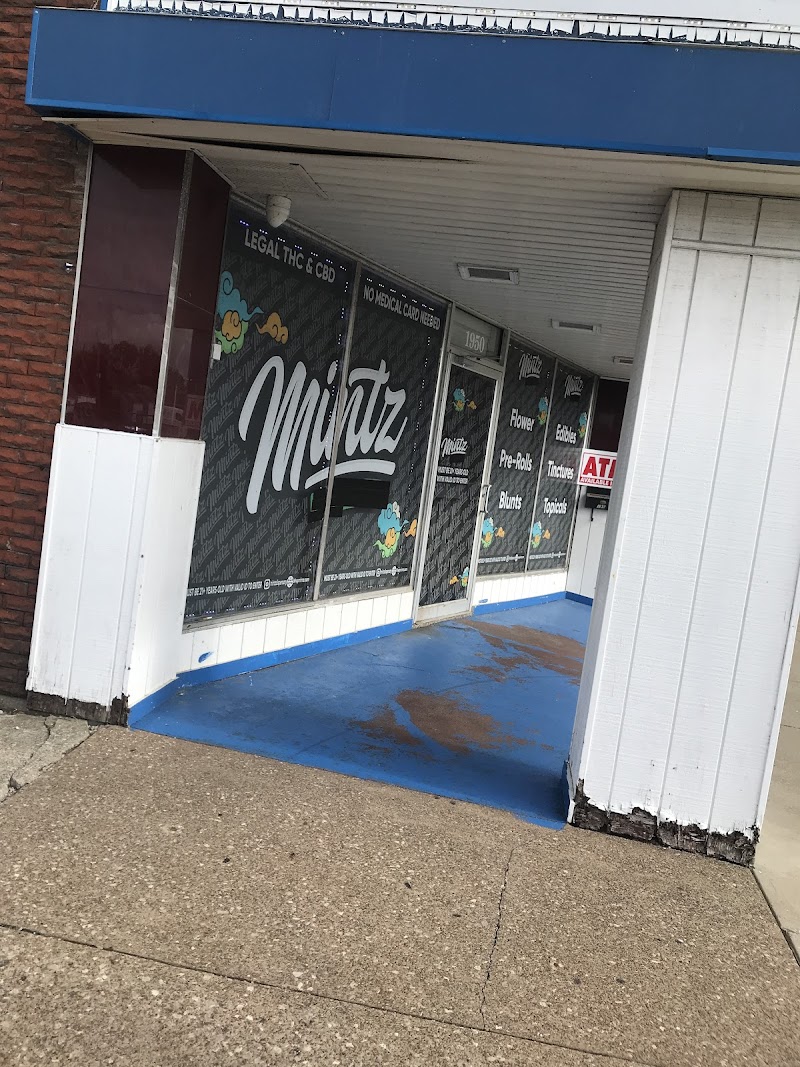 MINTZ Cannabinoid Dispensary & Smoke Shop - Lorain